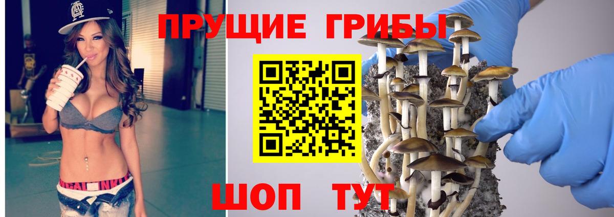 Псилоцибиновые грибы Psilocybine cubensis  Вход с VPN  Шелехов 
